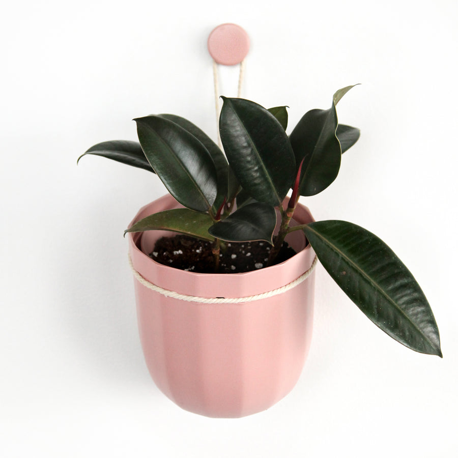 viri hanging planter Loop Hanging Planter Rose