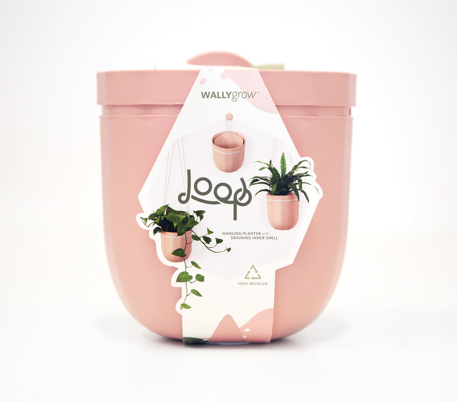 rose gold hanging planter Loop Hanging Planter in Rose