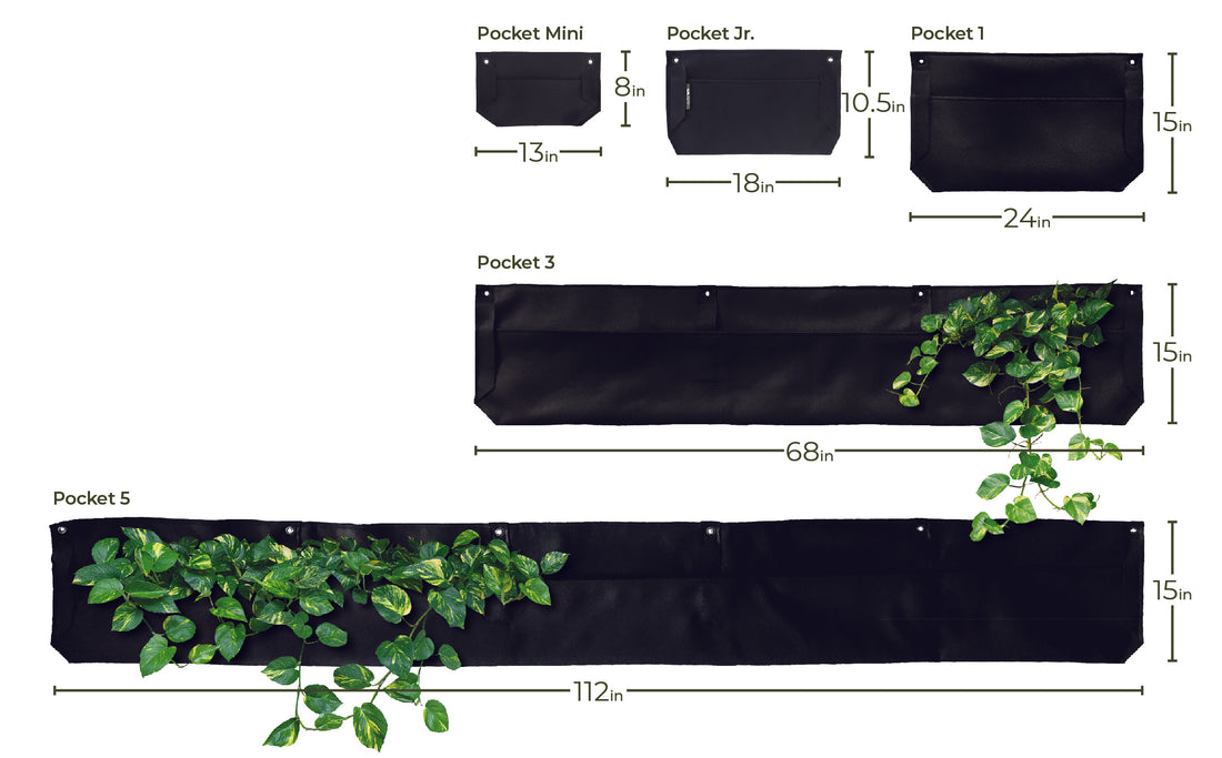 Pocket 1 Black Wall Planter