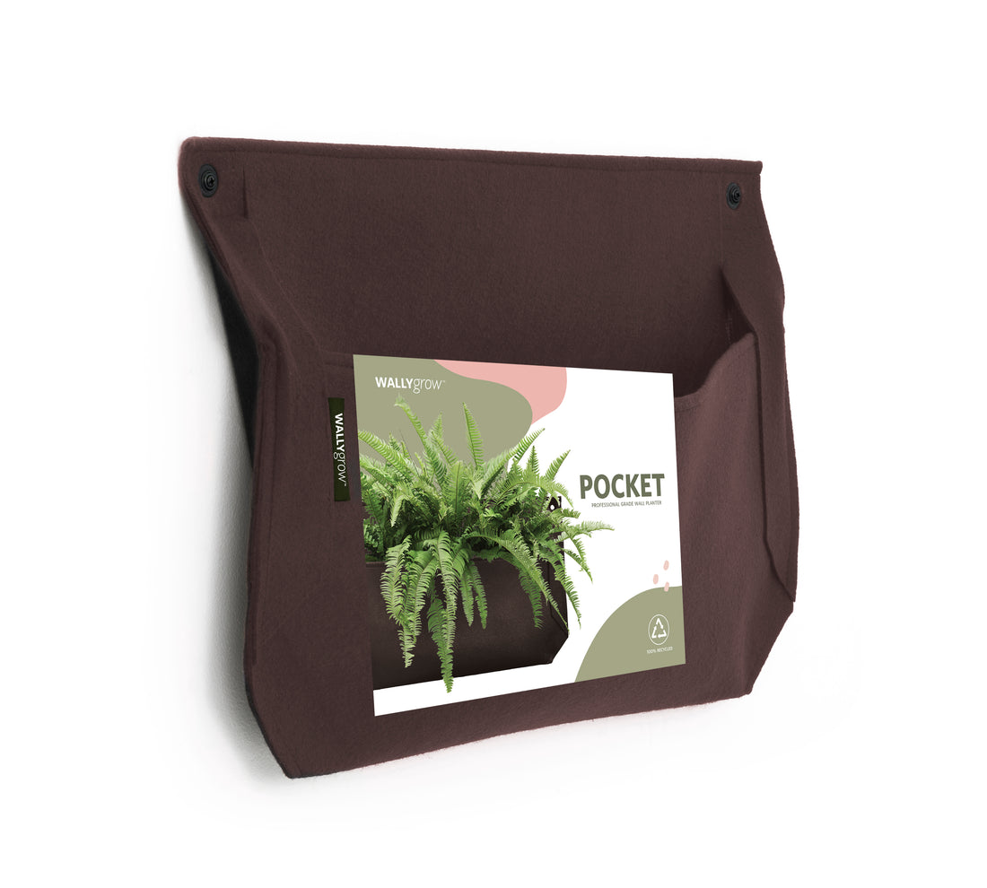 Pocket 1 Chocolate Wall Planter