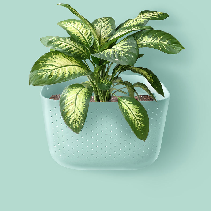 plant spa pot Eco Spa Wall Planter