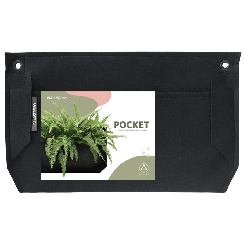 Pocket Jr. I Wall Planter