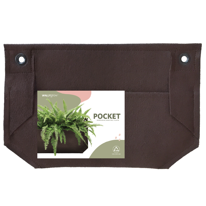 Pocket Mini Chocolate Wall Planter