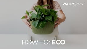 Eco Charcoal Wall Planter