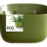 Eco Olive Wall Planter