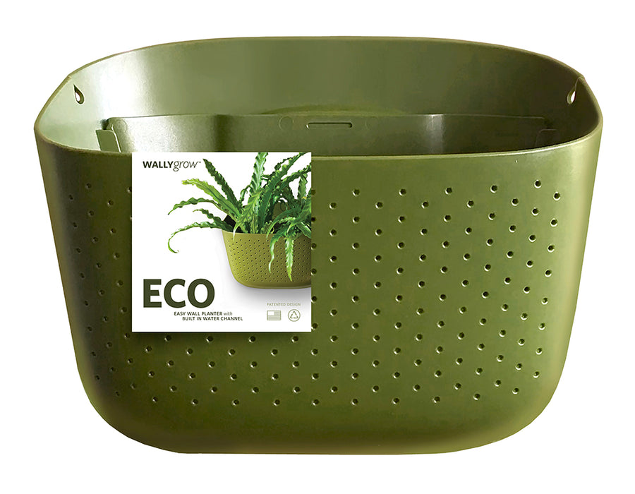 Eco Olive Wall Planter