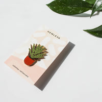 Calathea Rattlesnake Pin