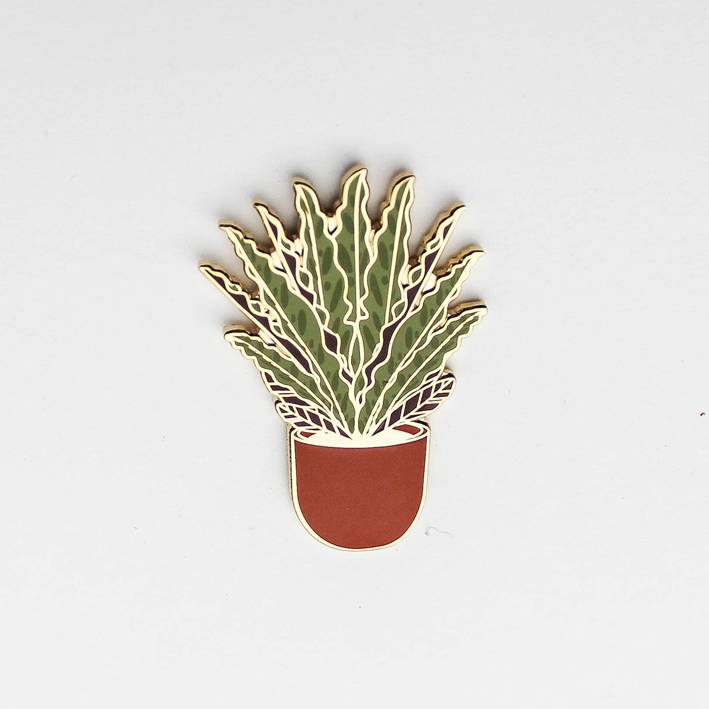 Calathea Rattlesnake Pin | WallyGro – WallyGrow