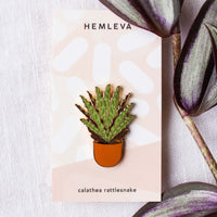 Calathea Rattlesnake Pin