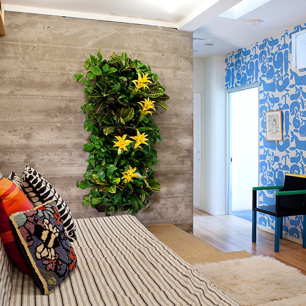 indoor garden wall planter WallyGro Wally One Vertical Garden- Chocolate
