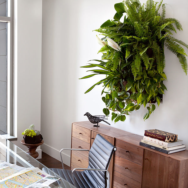 indoor plant wall pockets WallyGro Wally One Vertical Garden- Chocolate