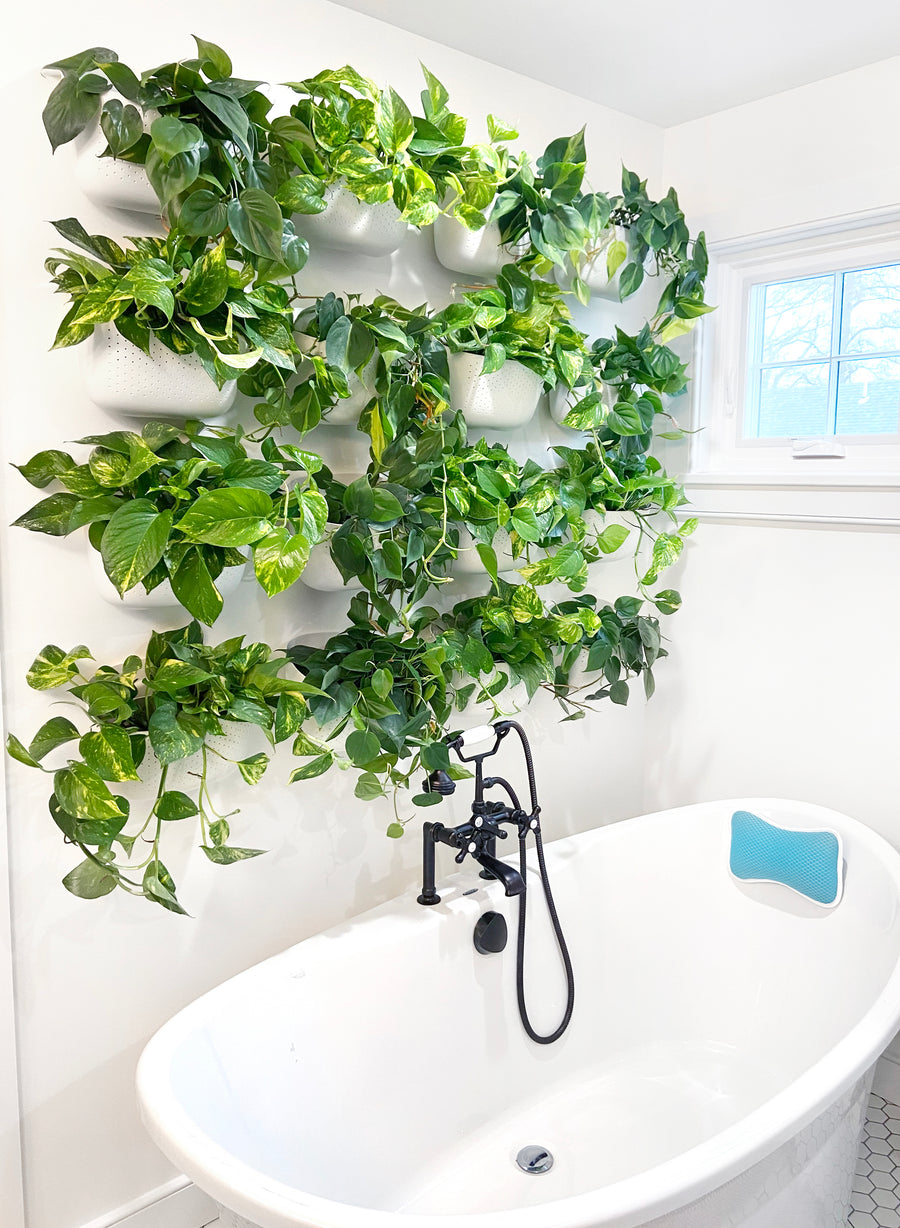 shower hanging planter Eco White Wall Planter