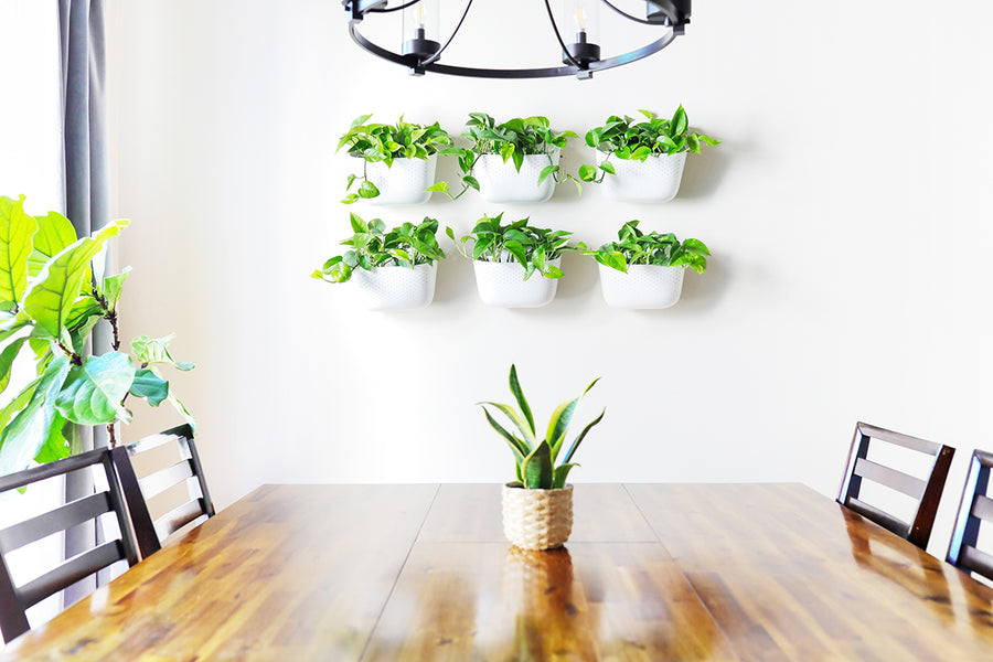 indoor wall plant holder Eco White Wall Planter