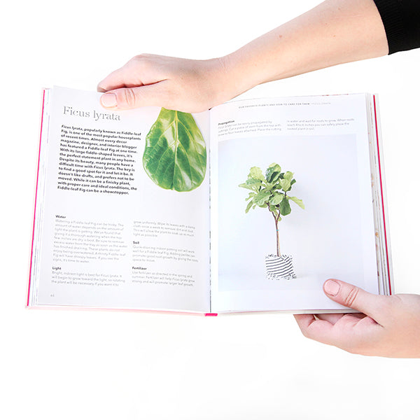 How To Raise a Plant and Make it Love You Back by Morgan Doane and Erin Harding