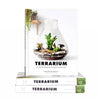 Terrarium