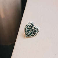 Anthurium Clarinervium Pin