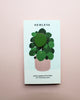 Pilea Friendship Plant Pin