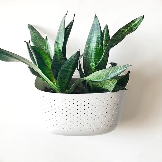 Eco White Wall Planter | WallyGrow